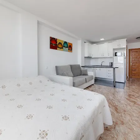 Estudio La Mata 公寓 托雷维耶哈